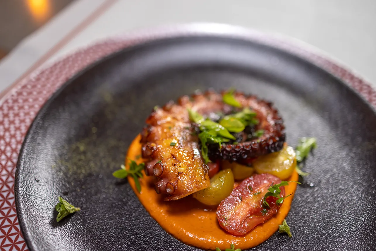 Filita-Travel-Euphoria-007