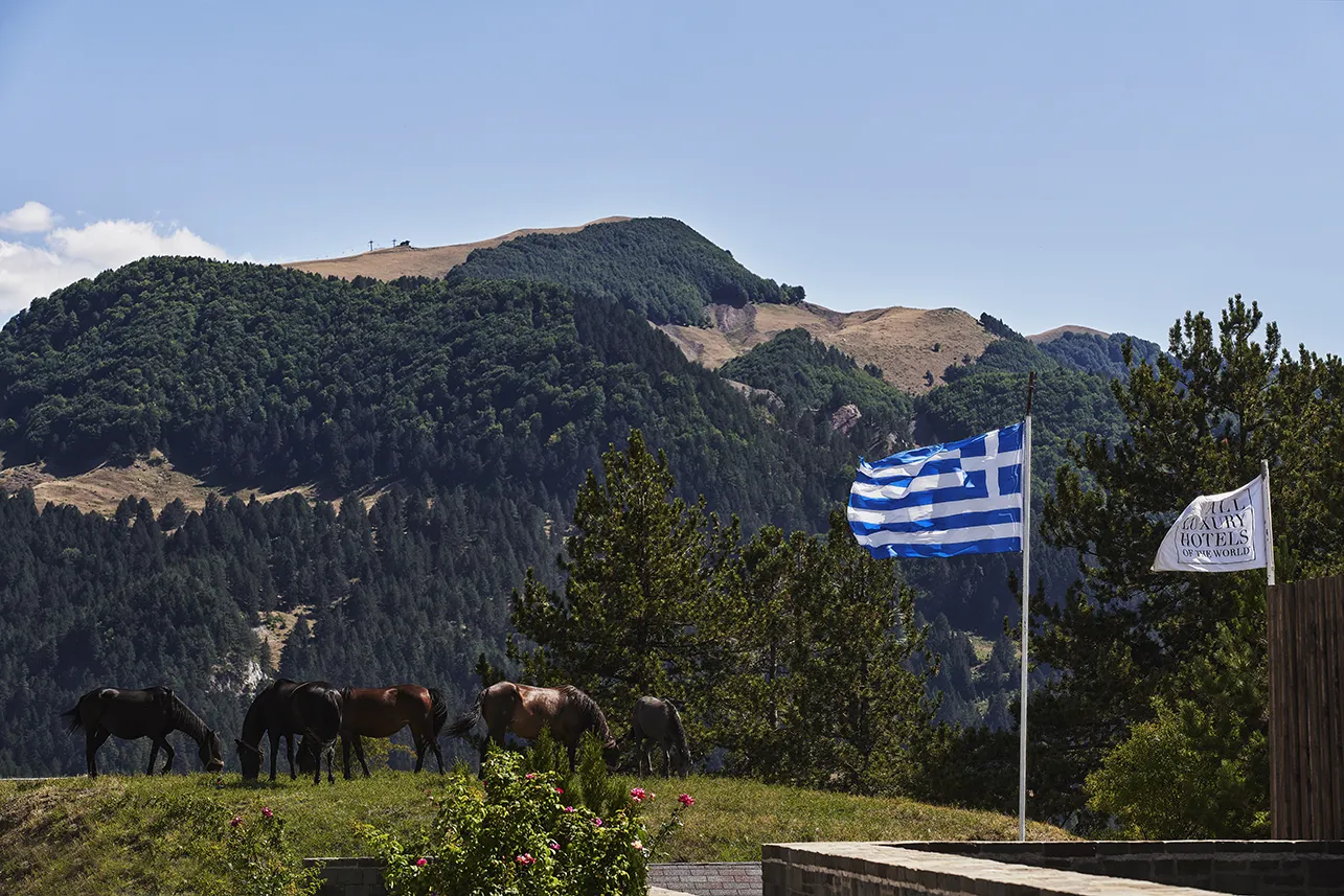 Filita-Travel-Grand-Forest-Metsovo-022