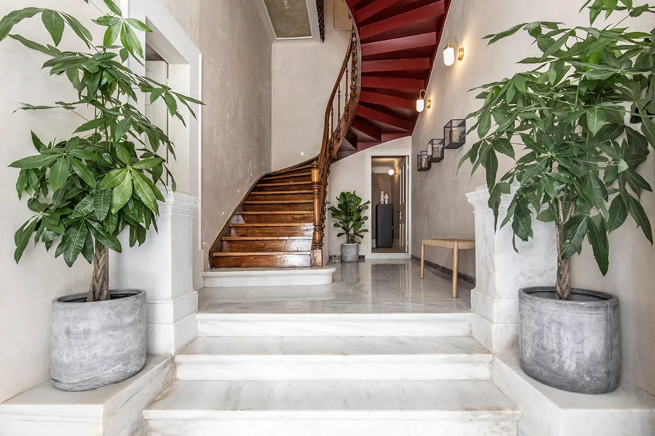 Filita-Travel-Monsieur-Didiot-010 copy