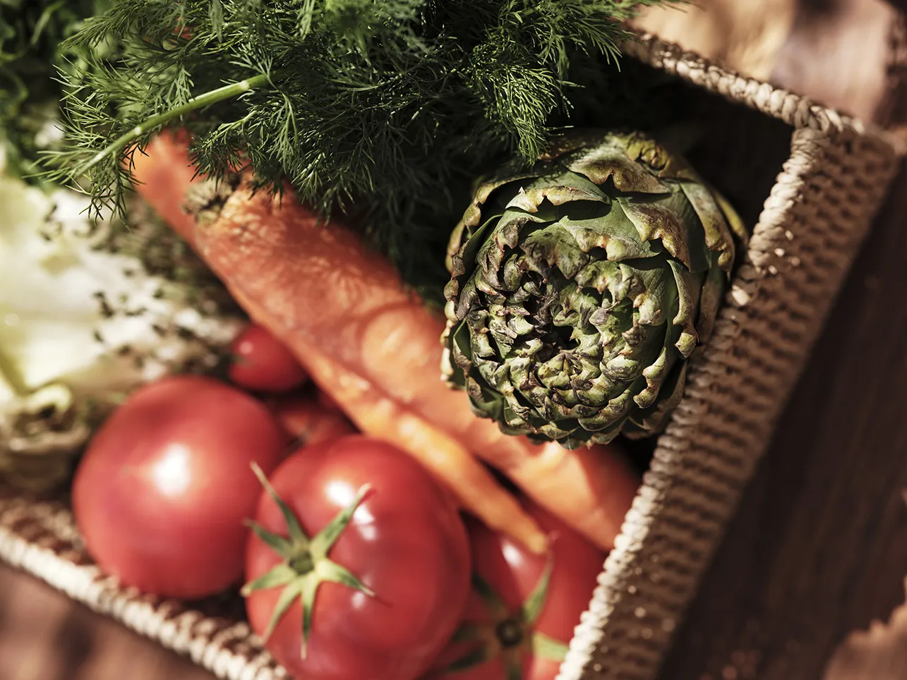 Filita-Travel-Stamna-017