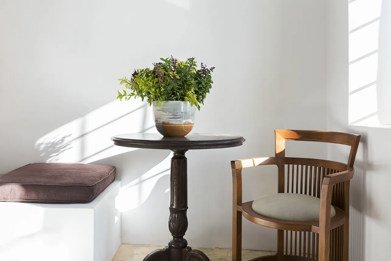 Filita-Travel-The-Vasilicos-026