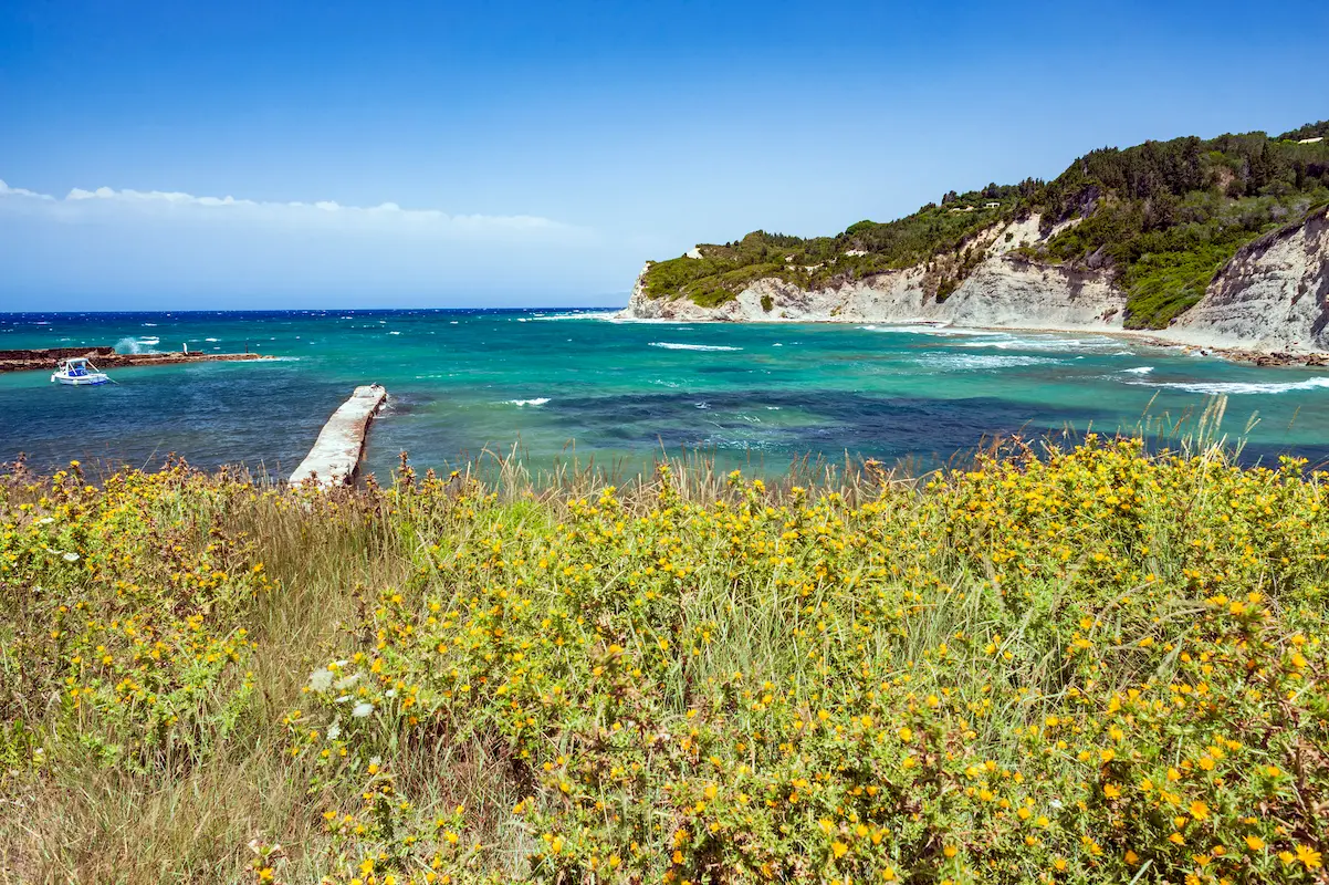 Erikoussa